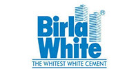 Birla White Waterproof Putty